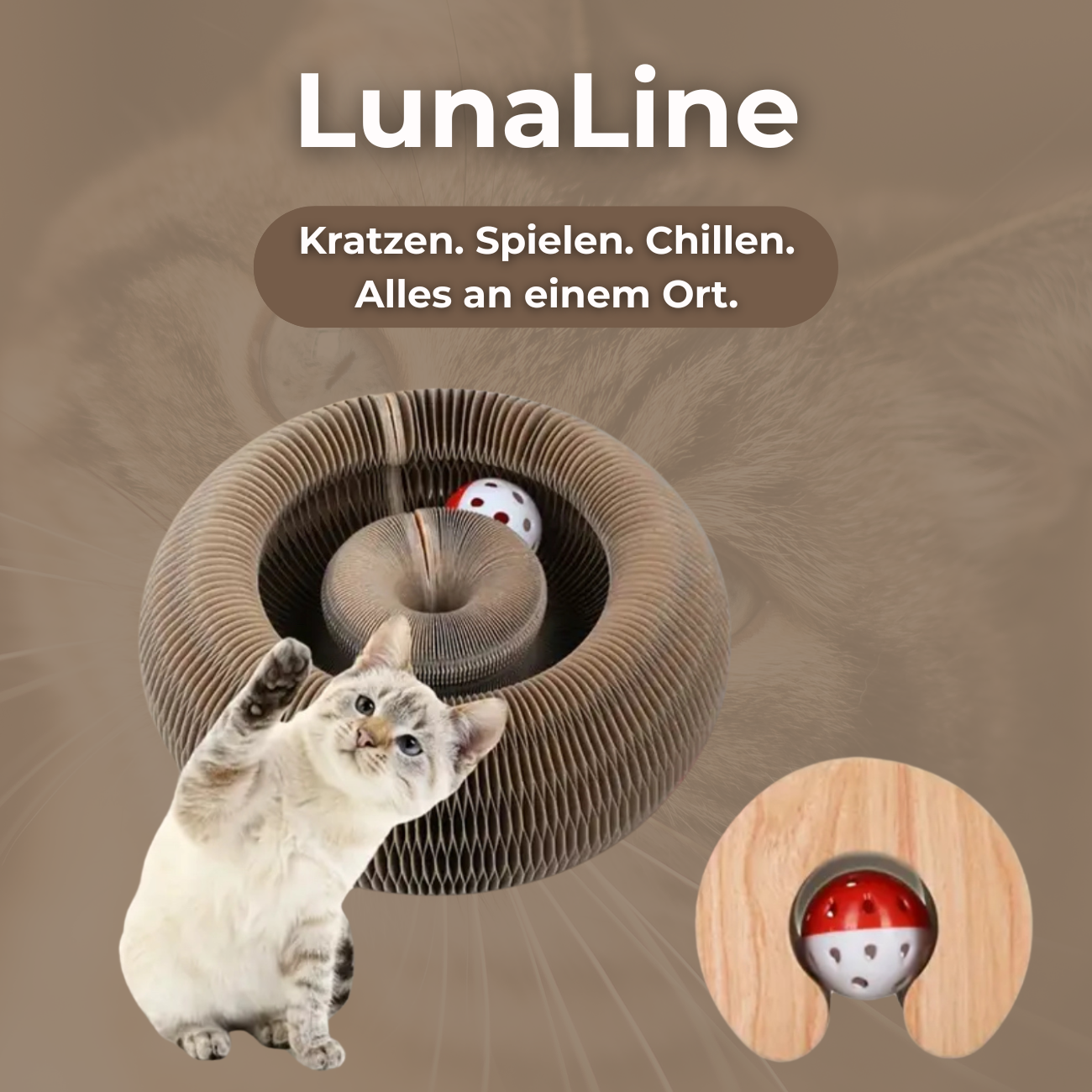LunaLine - Ein Abenteuer für dein Kätzchen!