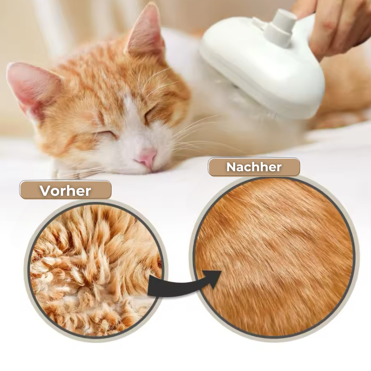 PetSleek - Die Bürste, die Haustiere lieben!