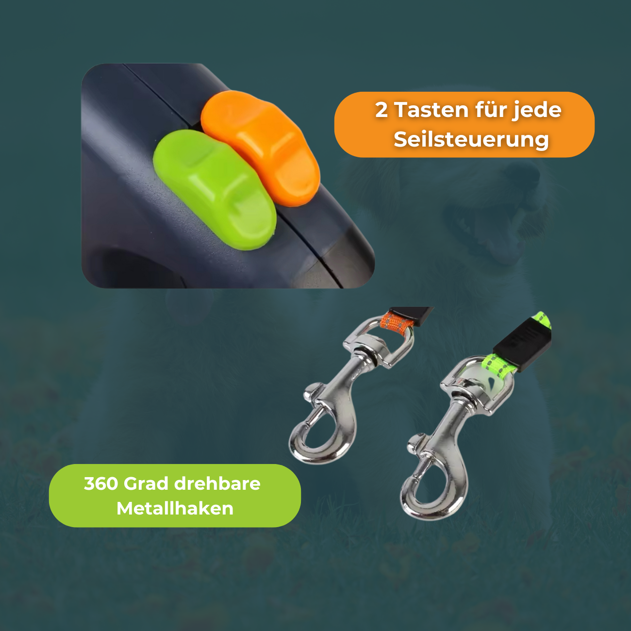 Paws2Go -Zwei Hunde, eine Leine, kein Chaos!