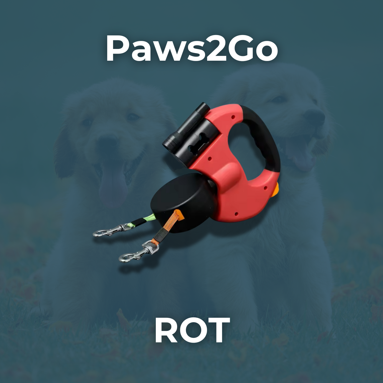 Paws2Go -Zwei Hunde, eine Leine, kein Chaos!