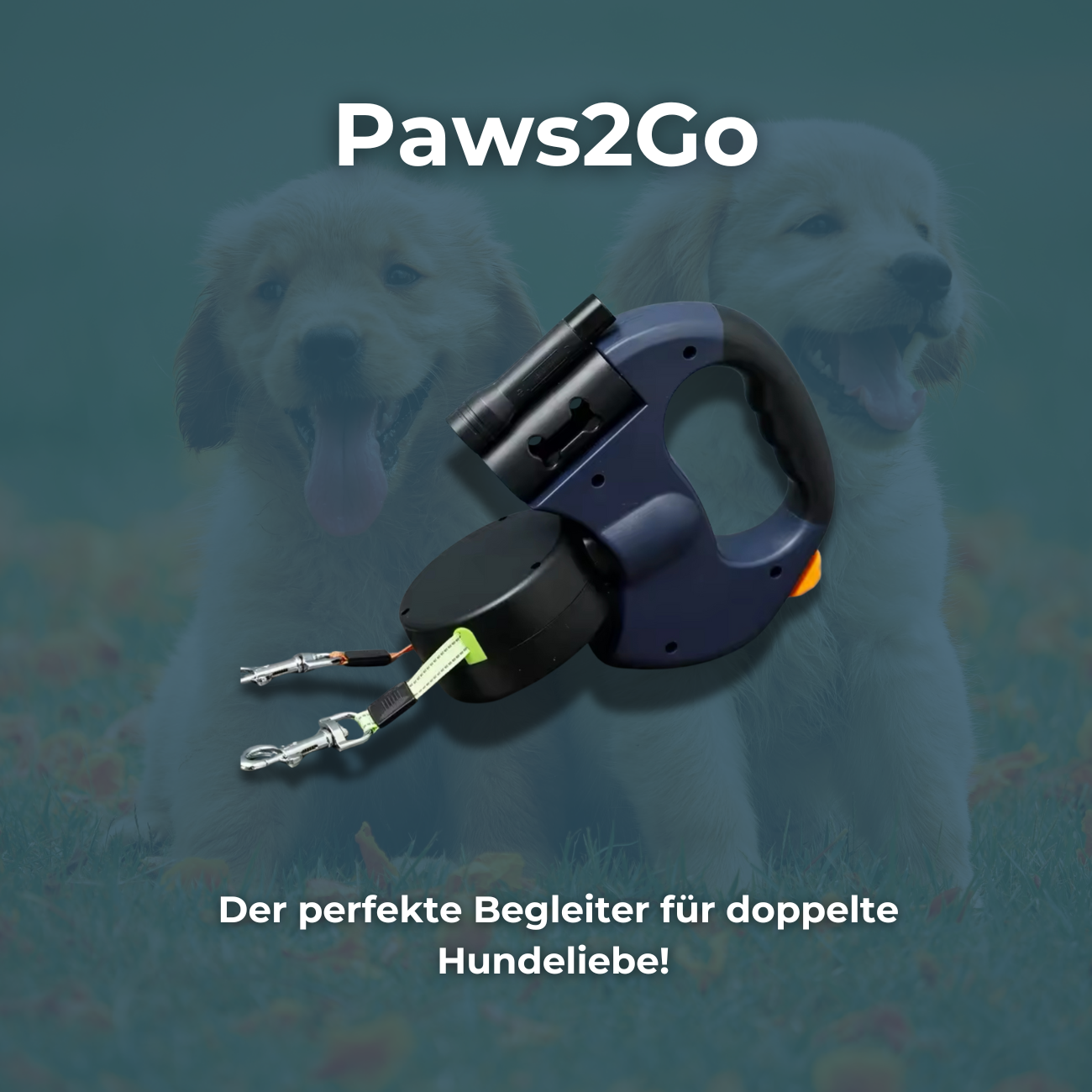Paws2Go -Zwei Hunde, eine Leine, kein Chaos!